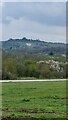 Bulford Kiwi from viewing point