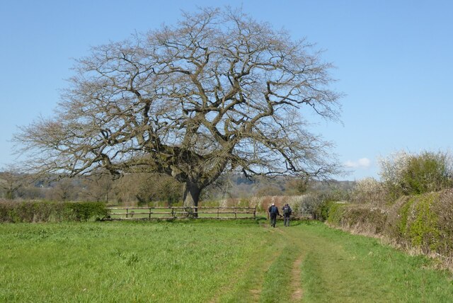 The Monarch's Way © Philip Halling :: Geograph Britain and Ireland