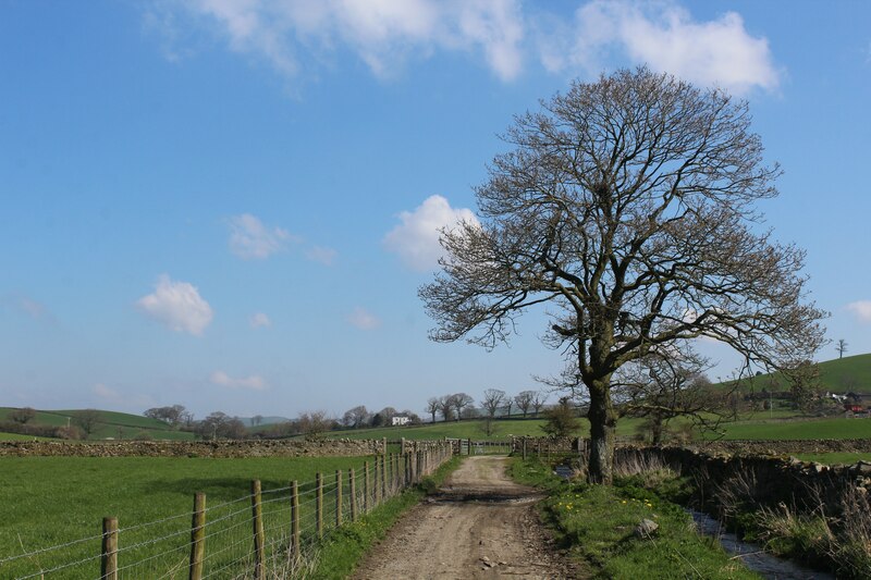 Track Beside Barkhouse Beck Chris Heaton Cc By Sa Geograph Britain And Ireland