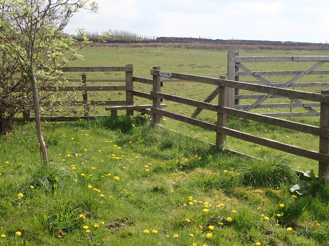 Footpath from track to Little Snodworth