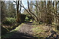 Footpath near Herb Garden