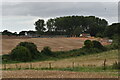 Land cleared for housing development, Felixstowe