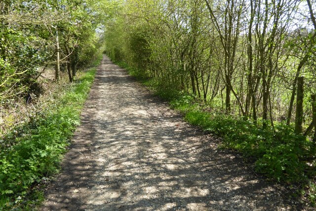 The Monarch's Way © Philip Halling cc-by-sa/2.0 :: Geograph Britain and ...