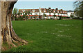 Houses on Garfield Road, Paignton