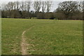 Footpath to Dabdon Bridge