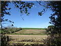 Fields at Trevaskis