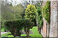 Thornham Walks: Outside The Walled Garden showing how high the wall actually is