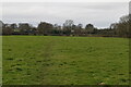 Faint footpath across pasture