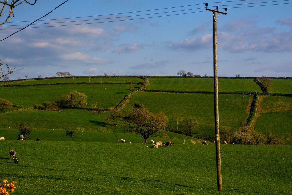 Twitchen Grassy Field And Sheep © Lewis Clarke Cc By Sa 2 0 Geograph