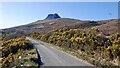 Road and Stac Pollaidh