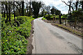 Loughmuck Road, Fallaghearn