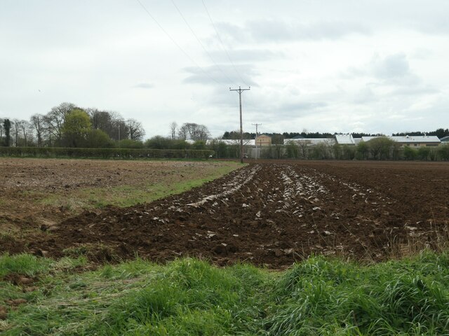 Field and crop boundary, The Mires