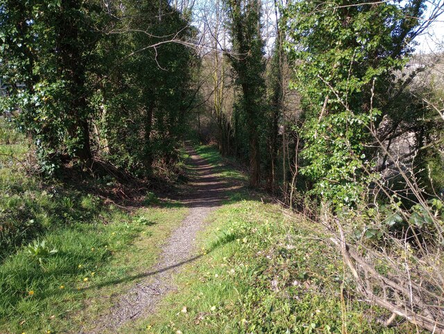 Path leading to riverside