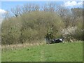 The Bridgend Circular Walk approaching woodland on the south side of the Ffornwg valley