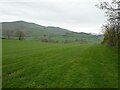 Field edge footpath near Henfache