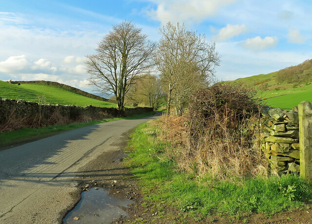 Along Paddy Lane