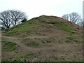 The southern face of the motte at Ty