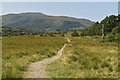 Footpath across the moor