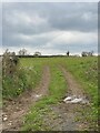 Farmland near Carew Newton