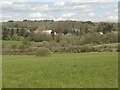 A view across the Ffornwg valley by Court Colman