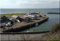 NX3343 : Port William Harbour by Jim Smillie