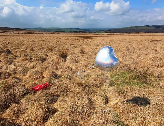 down-to-earth-anthony-parkes-cc-by-sa-2-0-geograph-britain-and-ireland