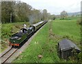 ST1334 : 'Lady of Legend' approaches Crowcombe Heathfield, from the west by Roger Cornfoot
