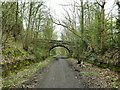 NZ1557 : Cyclepath on former railway route by Kevin Waterhouse