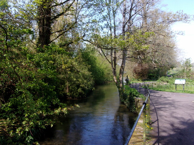 The Mill Stream in late April. 2023