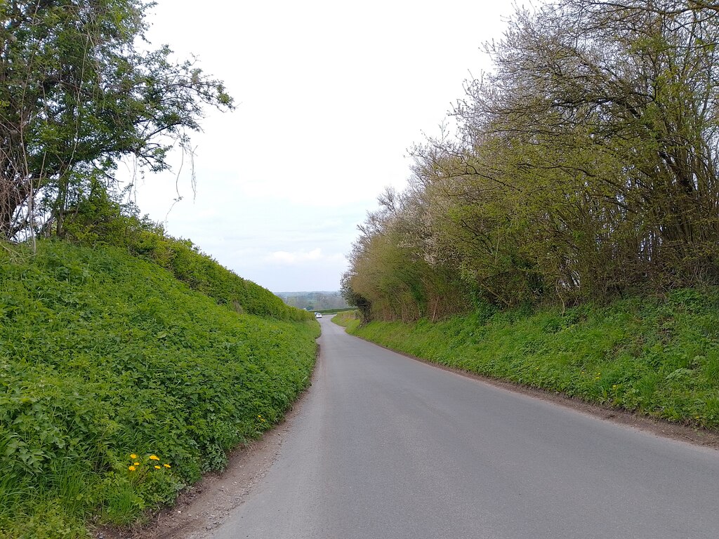 Lane To A338 © Oscar Taylor Cc By Sa 2 0 Geograph Britain And Ireland