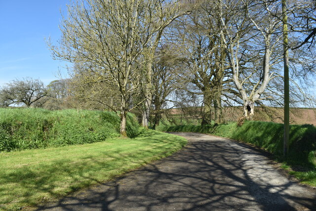 track-down-to-the-lane-from-satterleigh-david-martin-geograph