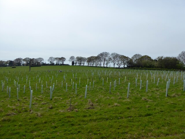 eleven-acres-simon-carey-geograph-britain-and-ireland