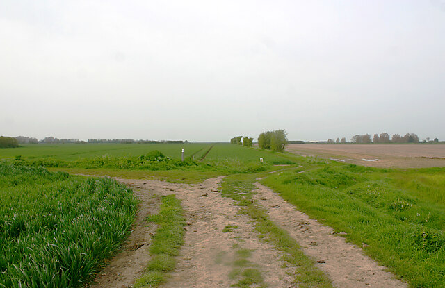 Junction of paths north of Great Wakering