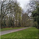 SP0590 : Informal avenue, Handsworth Park by A J Paxton