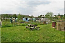 TL3529 : Buntingford allotments by Philip Jeffrey