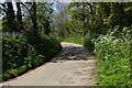 Bend in the road at Reskadinnick