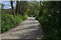 Road near Reskadinnick