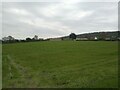 Field off the A371 Locking Moor Road