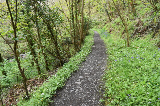 Path beside the River Valency west of Newmills