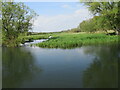 River Itchen near Bishopstoke