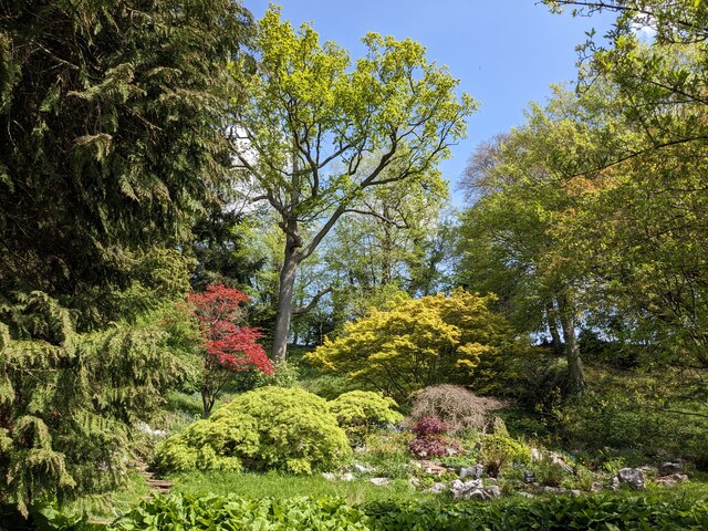 rockery-at-the-weir-garden-fabian-musto-geograph-britain-and-ireland