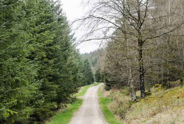 Forest road at the heart of Greystoke Trevor Littlewood cc by