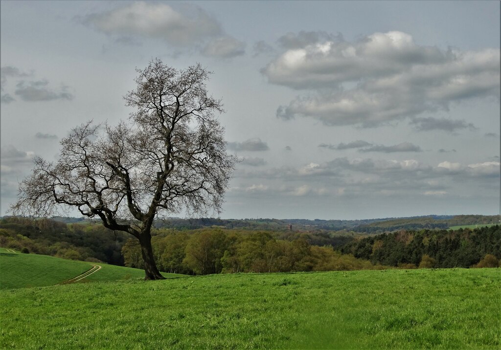 day-trips-to-discover-the-english-countryside-london-perfect