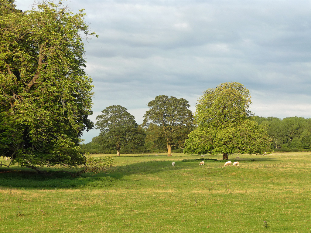 Parkland, Down Ampney © Stephen Richards :: Geograph Britain and Ireland