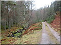 NH8813 : Track and stream through woodland near Aviemore by Malc McDonald