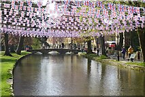 SP1620 : Coronation flags in Bourton-on-the-Water by Philip Halling