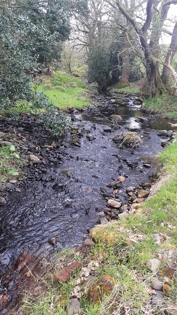 Carling Gill viewed from bridge in Low... © Roger Templeman cc-by-sa/2. ...