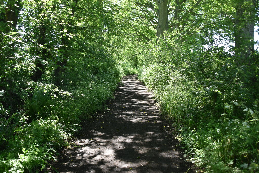 Saxon Shore Way, Norland Wood © N Chadwick cc-by-sa/2.0 :: Geograph ...