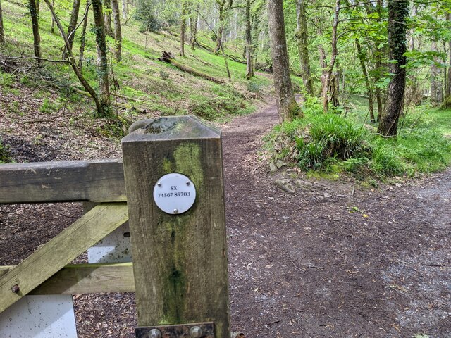 A geograph gift next to the River Teign