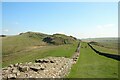 NY7266 : Hadrian's Wall west of Caw Gap by Graham Robson